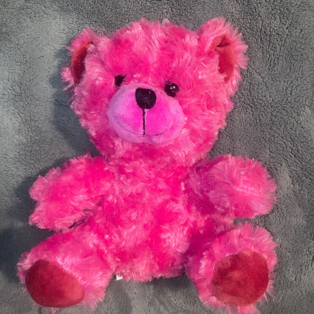 Pink Teddy bear